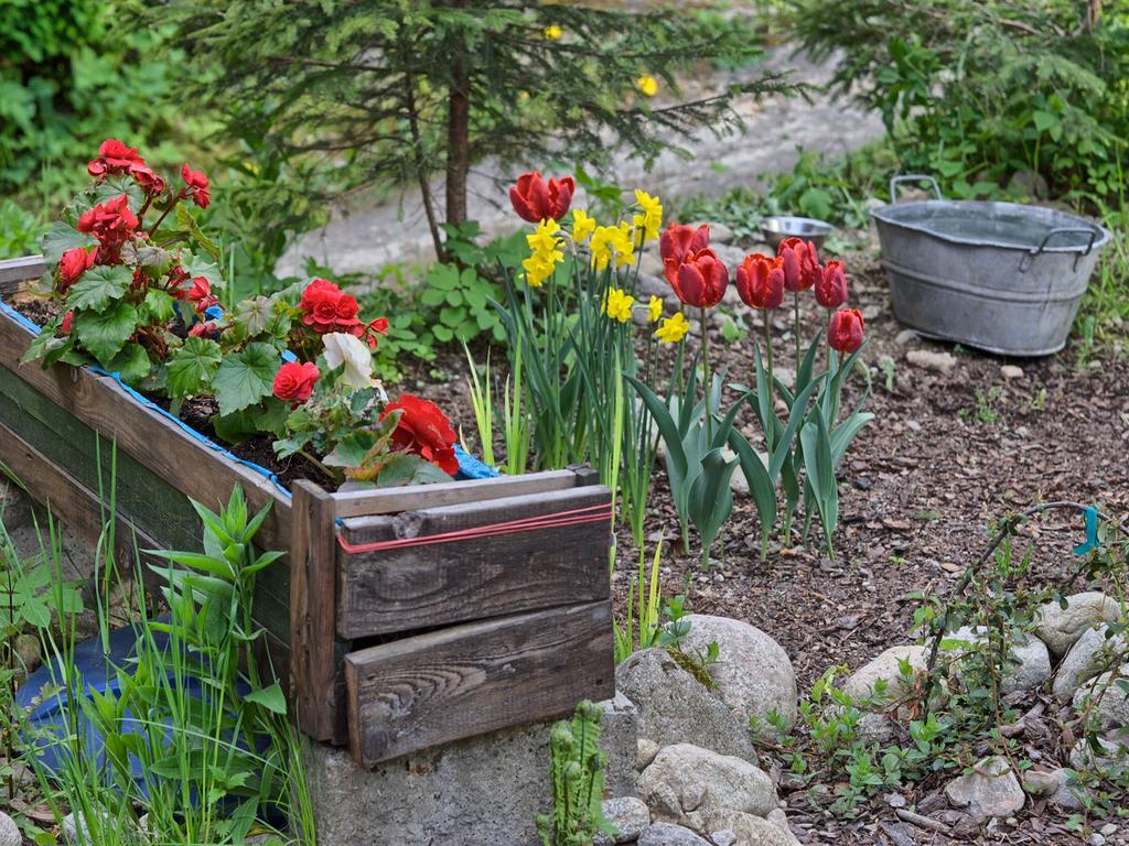 Oremusowka Zakopane Ngoại thất bức ảnh